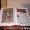 Madrice e dintorni (85) (Copia)